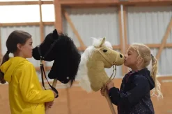 Bio-Steckenpferd Mini Flicka