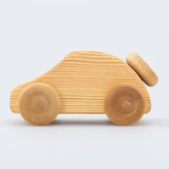 Debresk - kleiner Holz Käfer