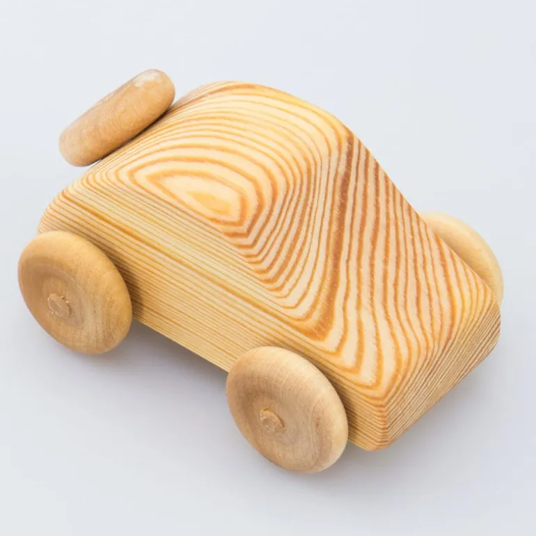 Debresk - kleiner Holz Käfer