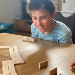 Didi Toys Dominosteine Malrechnen bis 10