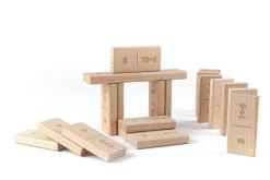 Didi Toys Mathematische Dominosteine +/- bis 10