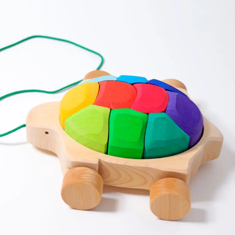 Grimm's Regenbogen Schildkröte