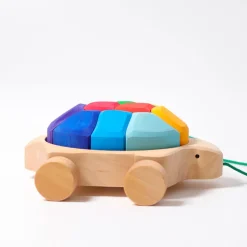 Grimm's Regenbogen Schildkröte