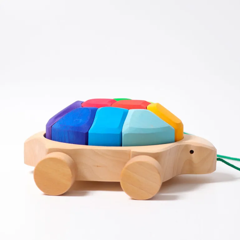 Grimm's Regenbogen Schildkröte