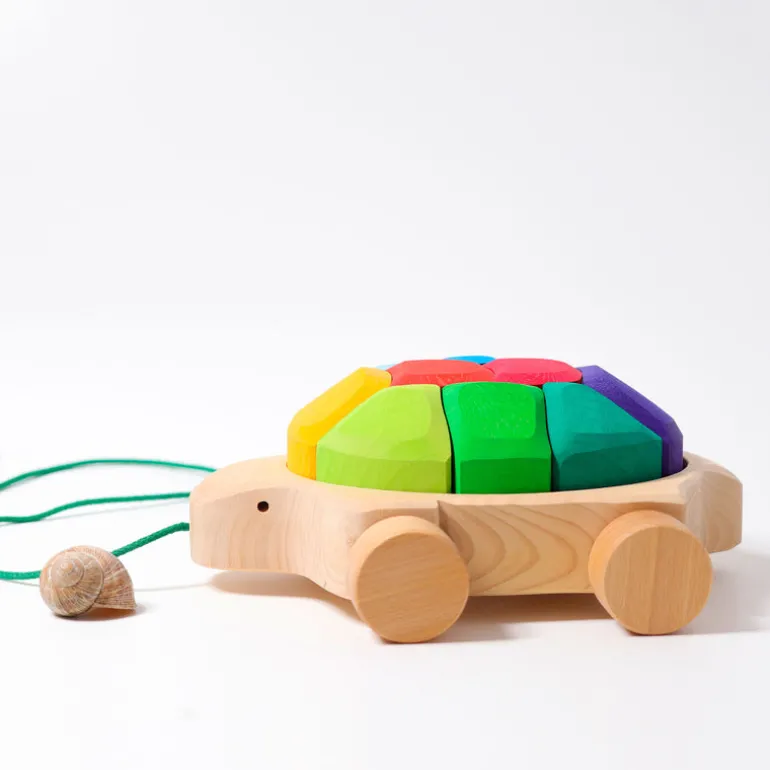 Grimm's Regenbogen Schildkröte