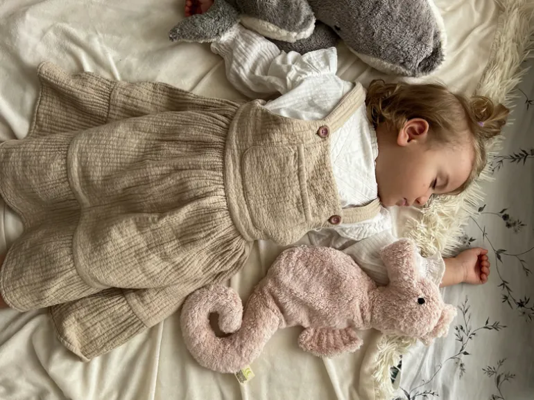 Kuscheltier Seepferdchen klein mit Kirschkern-Inlett